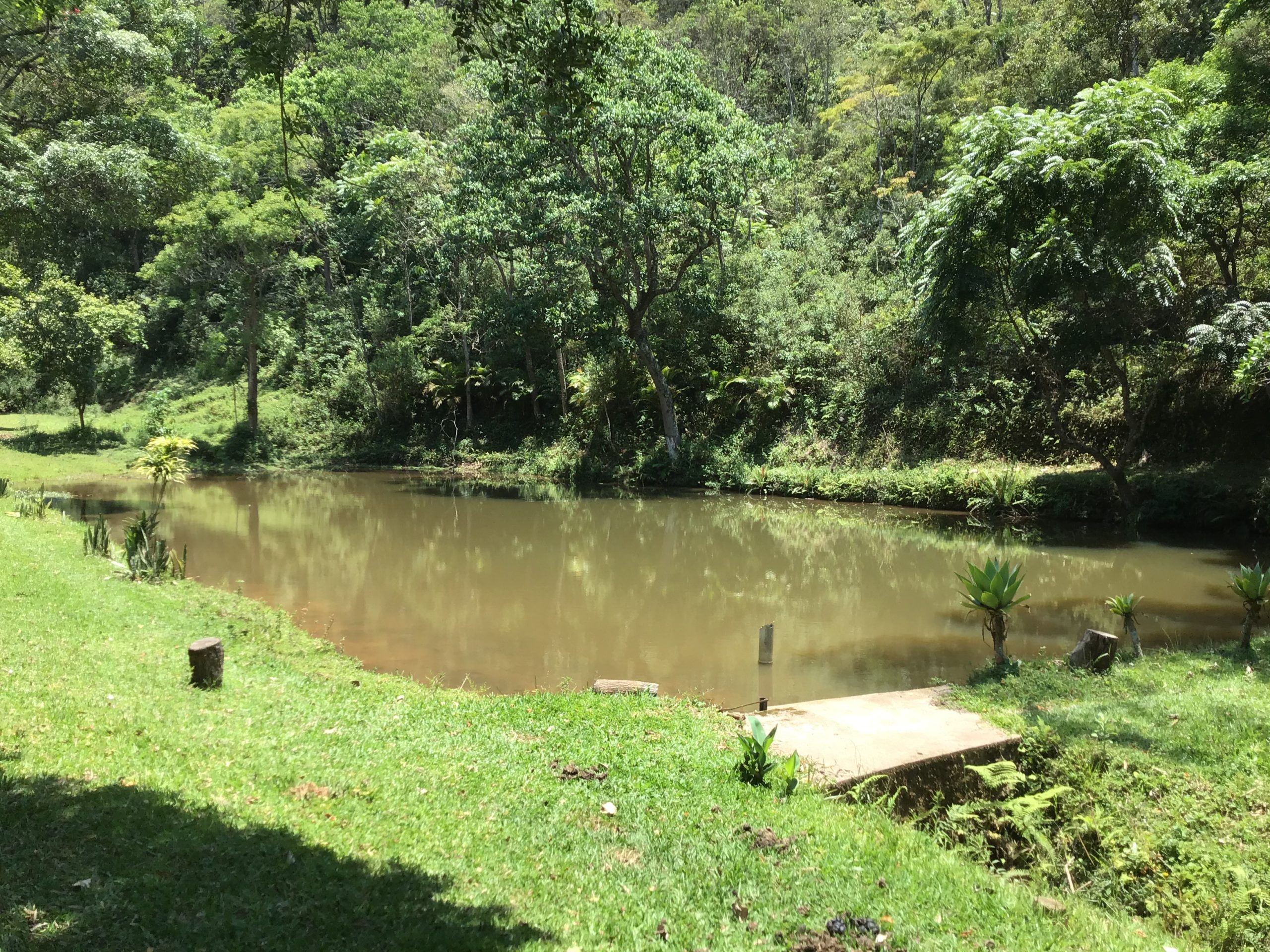 Área externa