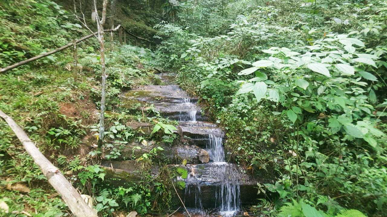 Cachoeira natural
